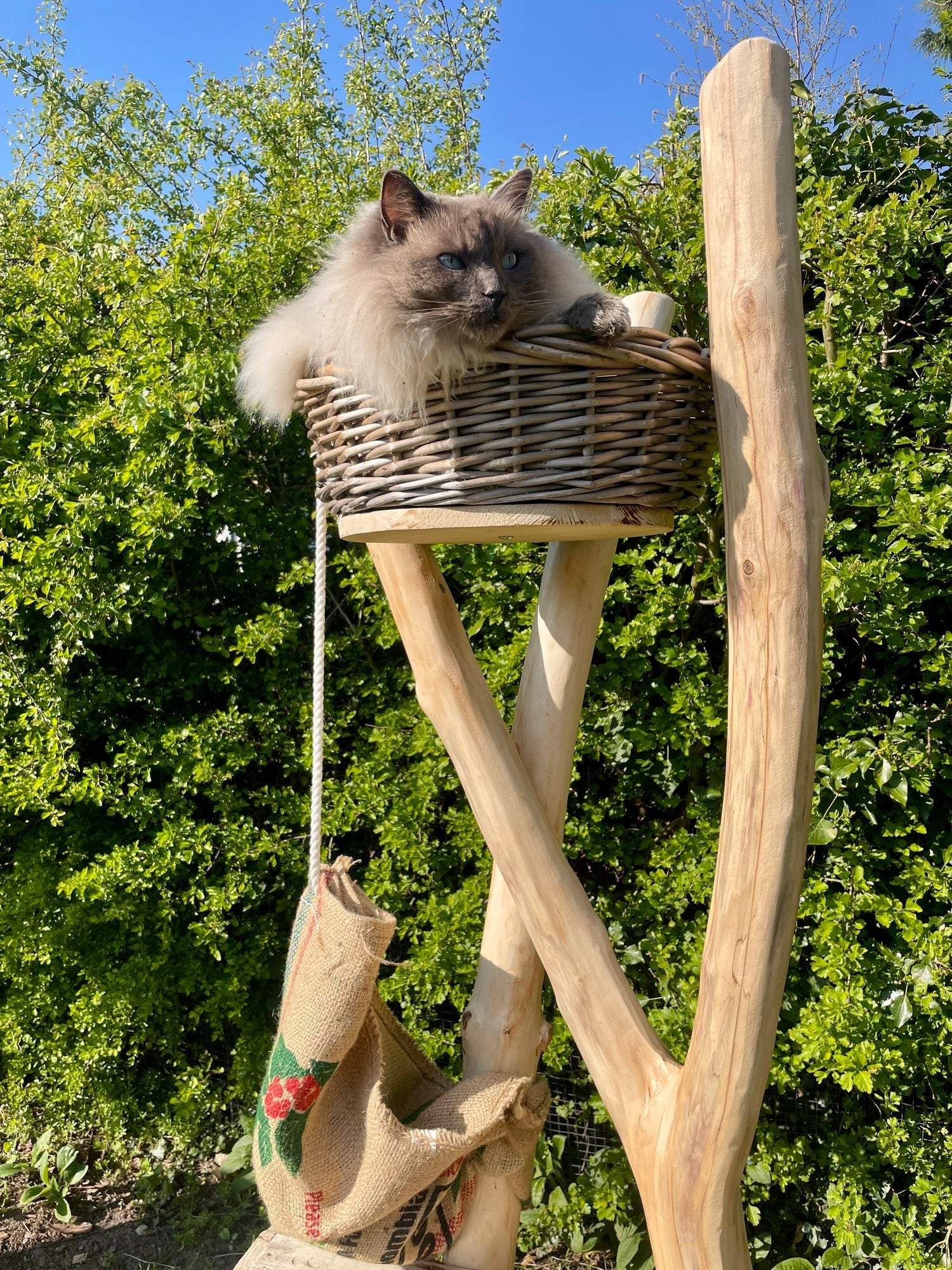 Empire-State Cat Tree