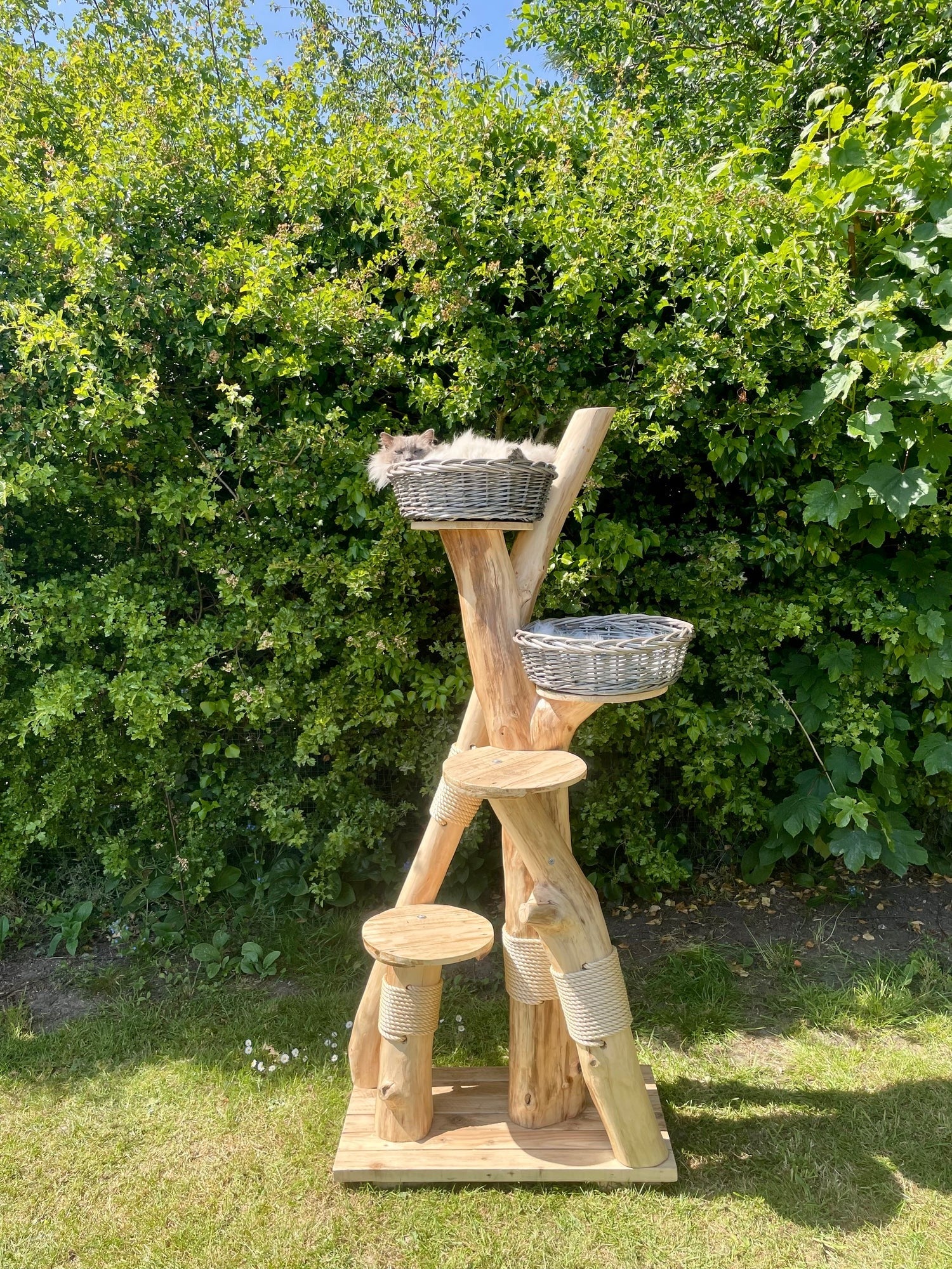 University Cat Tree