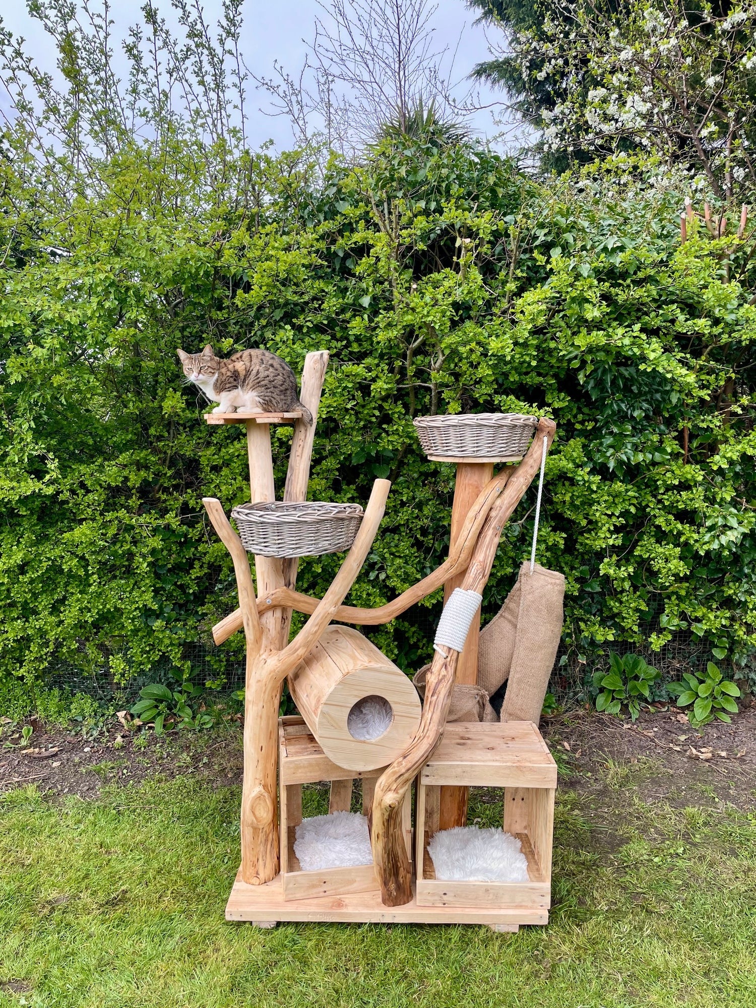 Unique Cat Tree
